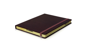 DODOcase Leather Case for iPad