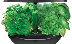 Miracle-Gro AeroGarden