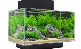 Fluval Edge Aquarium with LED Light
