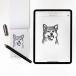 Livescribe Smartpen